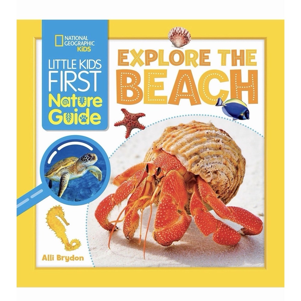 Little Kids First Nature Guide: Explore the Beach by Alli Brydon (2023, Trade...